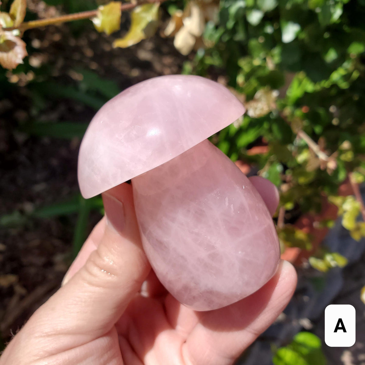 Chunky Rose Quartz Mushroom - Unconditional Love, Forgiveness, Compassion - Pink Crystal Mushroom Stone Healing Crystals Gemstones