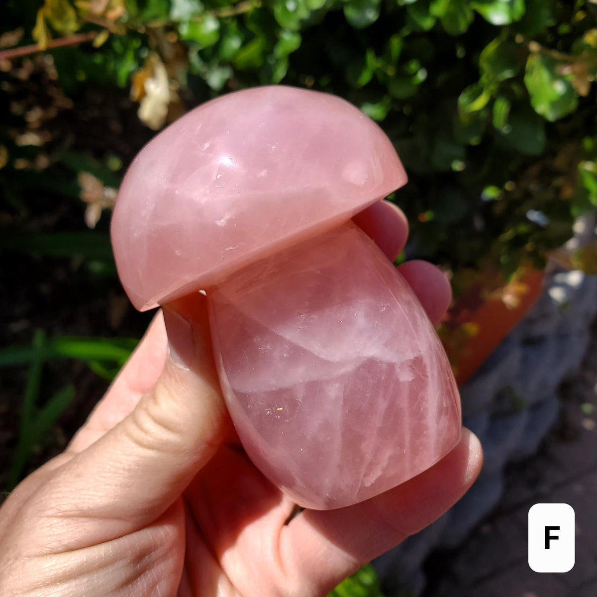 Chunky Rose Quartz Mushroom - Unconditional Love, Forgiveness, Compassion - Pink Crystal Mushroom Stone Healing Crystals Gemstones