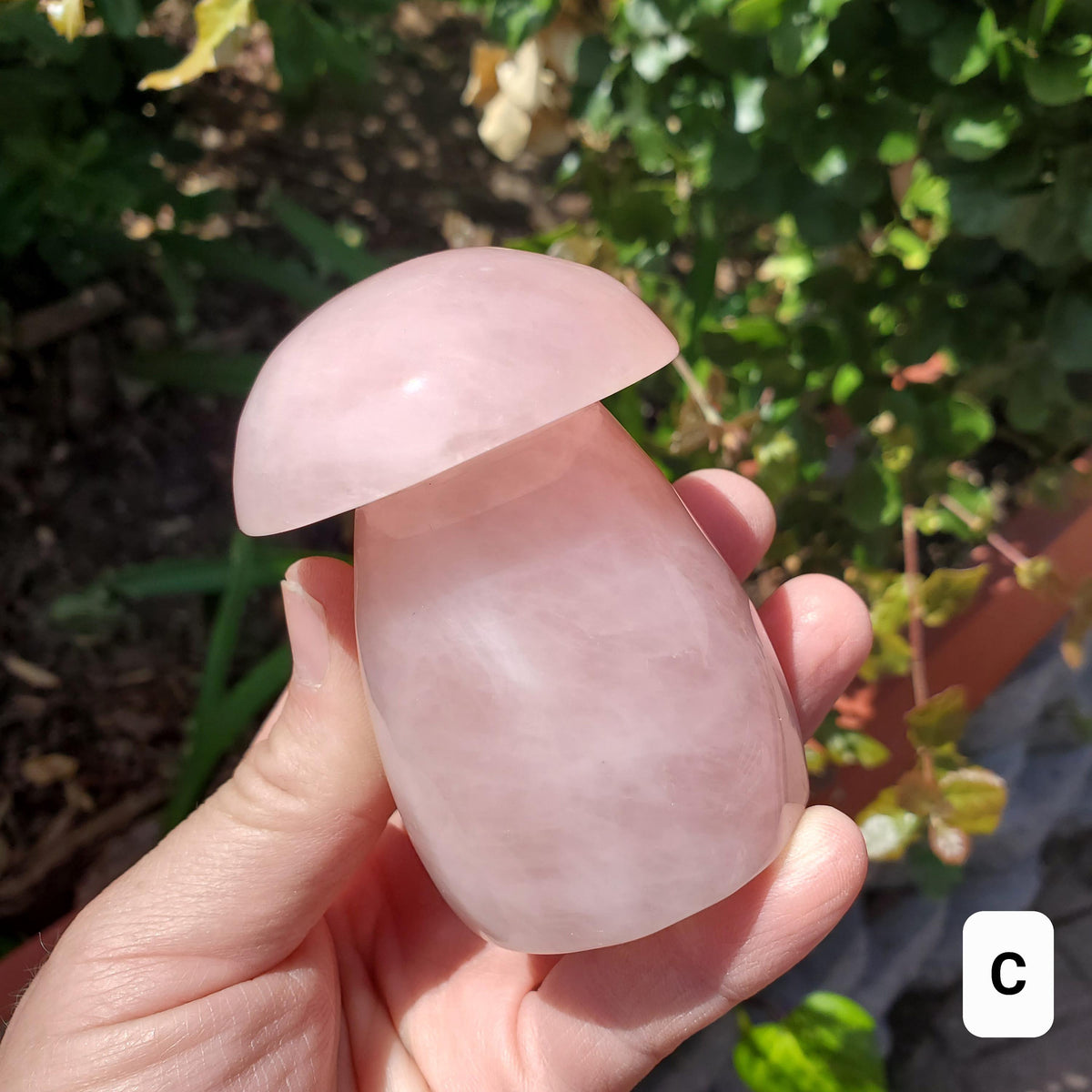Chunky Rose Quartz Mushroom - Unconditional Love, Forgiveness, Compassion - Pink Crystal Mushroom Stone Healing Crystals Gemstones