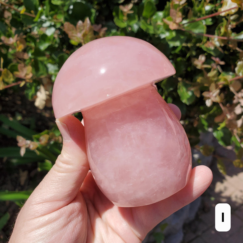 Chunky Rose Quartz Mushroom - Unconditional Love, Forgiveness, Compassion - Pink Crystal Mushroom Stone Healing Crystals Gemstones