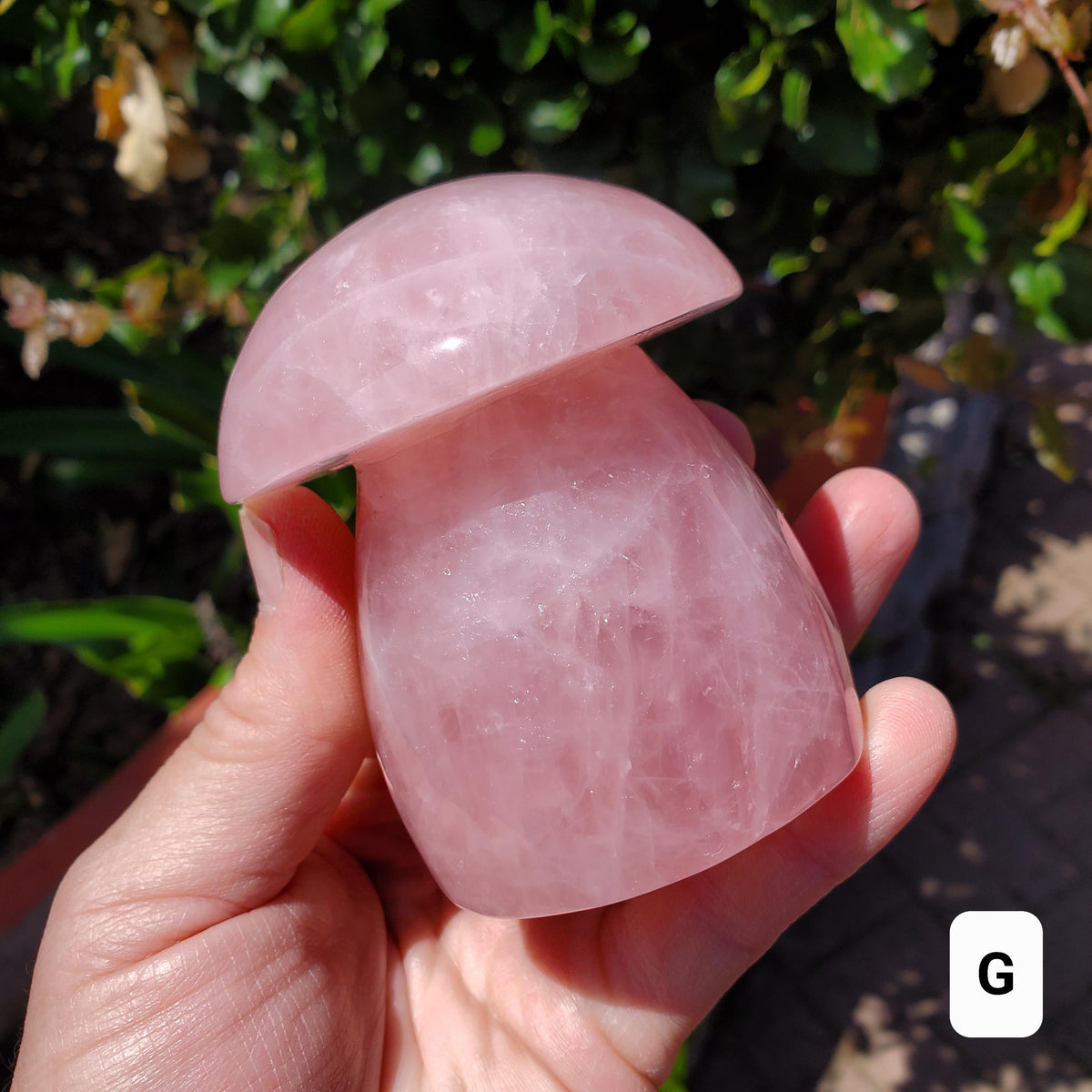 Chunky Rose Quartz Mushroom - Unconditional Love, Forgiveness, Compassion - Pink Crystal Mushroom Stone Healing Crystals Gemstones