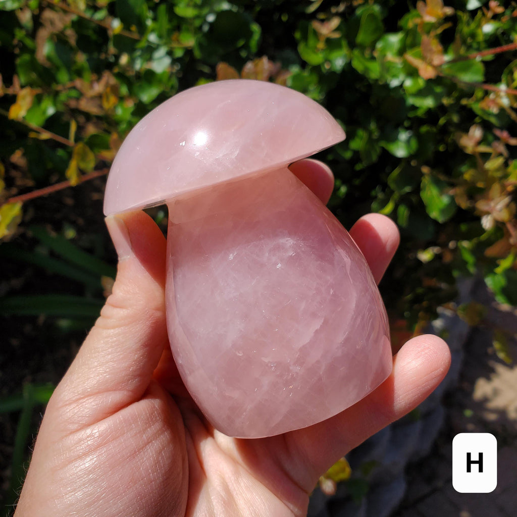 Chunky Rose Quartz Mushroom - Unconditional Love, Forgiveness, Compassion - Pink Crystal Mushroom Stone Healing Crystals Gemstones
