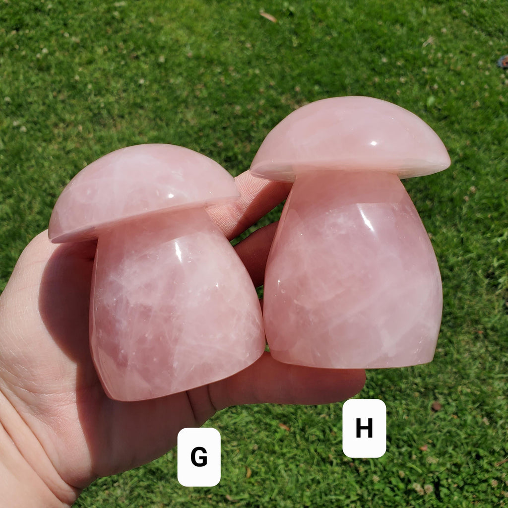 Chunky Rose Quartz Mushroom - Unconditional Love, Forgiveness, Compassion - Pink Crystal Mushroom Stone Healing Crystals Gemstones