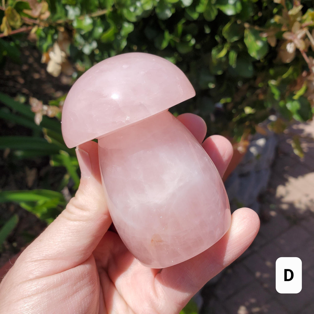 Chunky Rose Quartz Mushroom - Unconditional Love, Forgiveness, Compassion - Pink Crystal Mushroom Stone Healing Crystals Gemstones