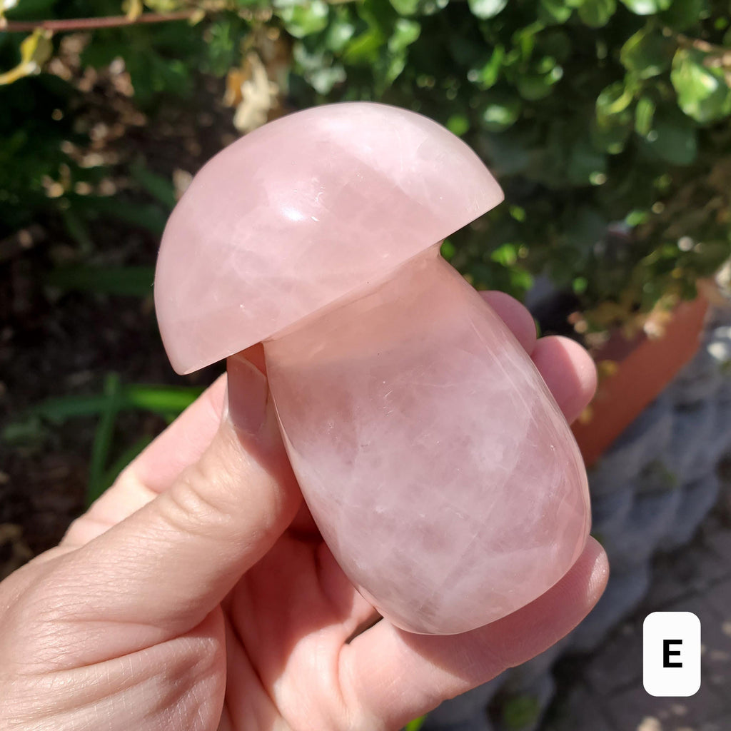 Chunky Rose Quartz Mushroom - Unconditional Love, Forgiveness, Compassion - Pink Crystal Mushroom Stone Healing Crystals Gemstones