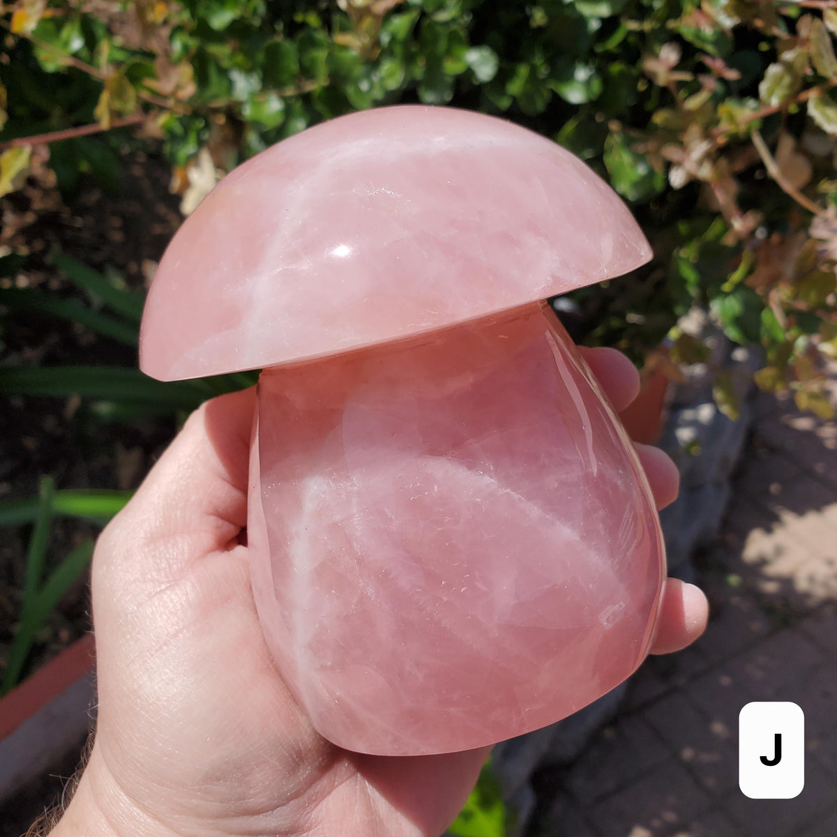 Chunky Rose Quartz Mushroom - Unconditional Love, Forgiveness, Compassion - Pink Crystal Mushroom Stone Healing Crystals Gemstones