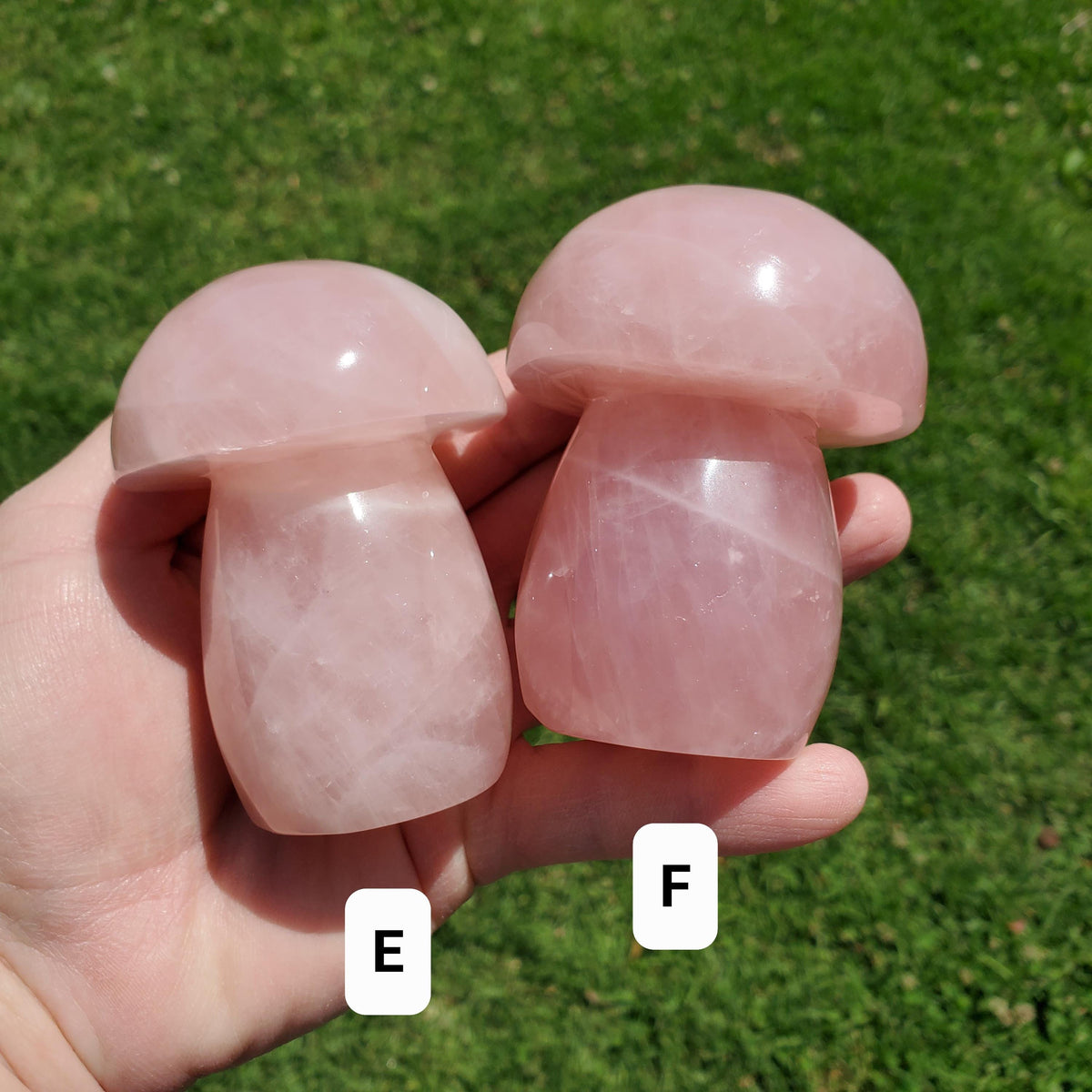 Chunky Rose Quartz Mushroom - Unconditional Love, Forgiveness, Compassion - Pink Crystal Mushroom Stone Healing Crystals Gemstones