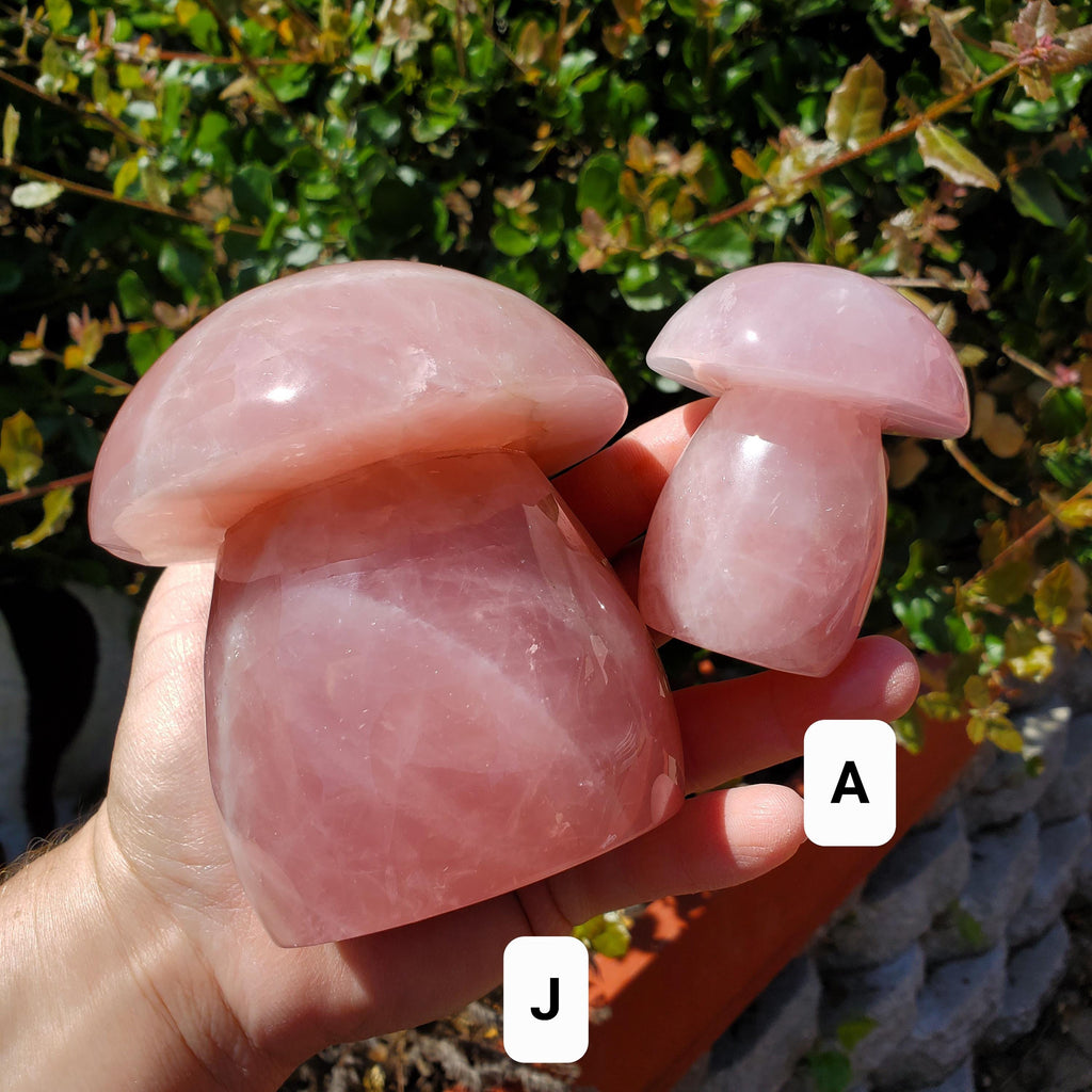 Chunky Rose Quartz Mushroom - Unconditional Love, Forgiveness, Compassion - Pink Crystal Mushroom Stone Healing Crystals Gemstones