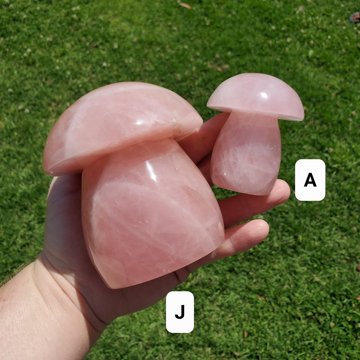 Chunky Rose Quartz Mushroom - Unconditional Love, Forgiveness, Compassion - Pink Crystal Mushroom Stone Healing Crystals Gemstones