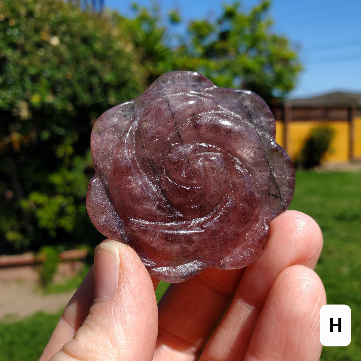 Small Strawberry Quartz Rose with Tourmaline Inclusions - Universal Love, Gratitude, Generosity, Compassion - Tanzberry Flower Carving
