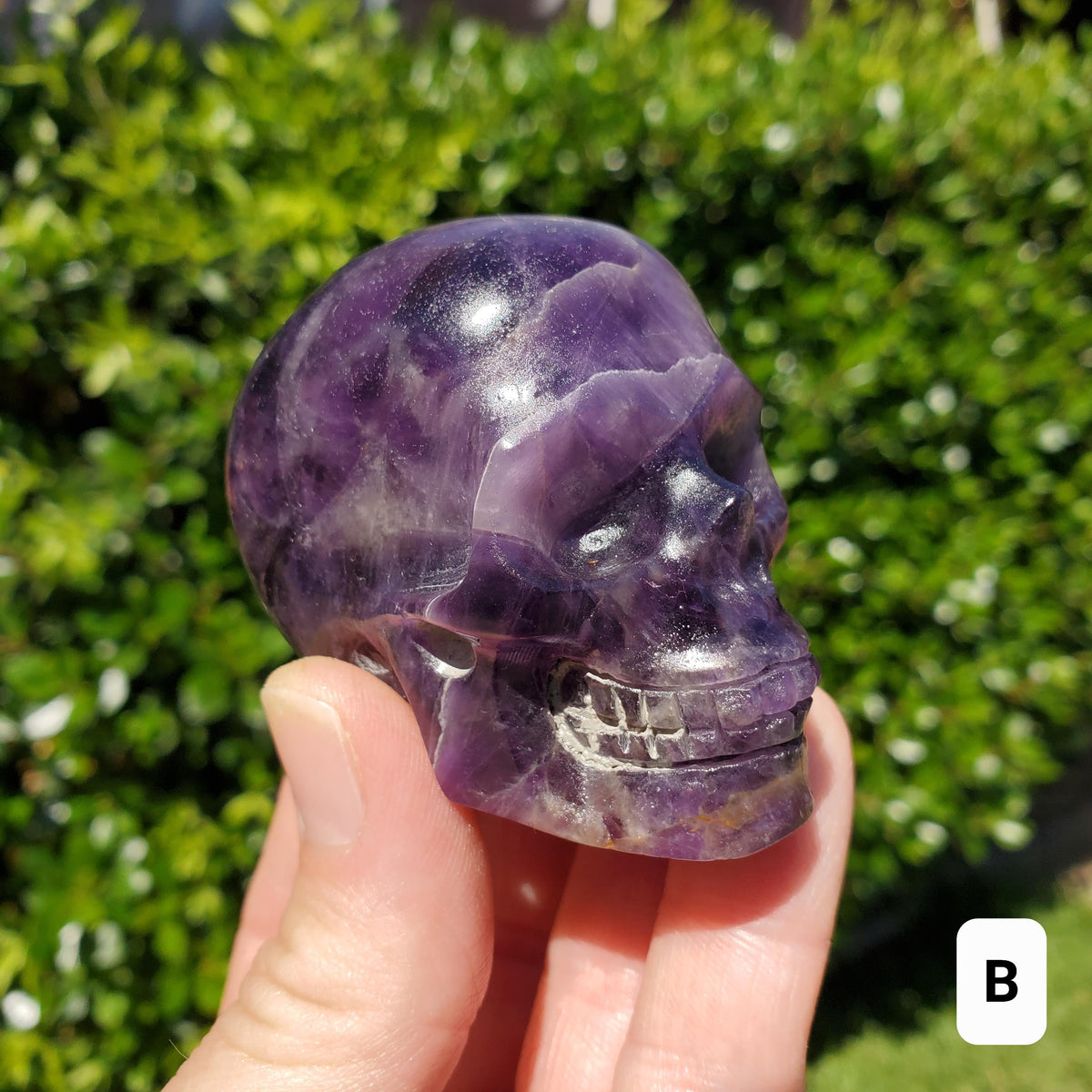 Cute Amethyst Skull 2.50" - Calming, Protection, Positivity - Purple Carved Skull Amethyst Crystal Healing Gemstones