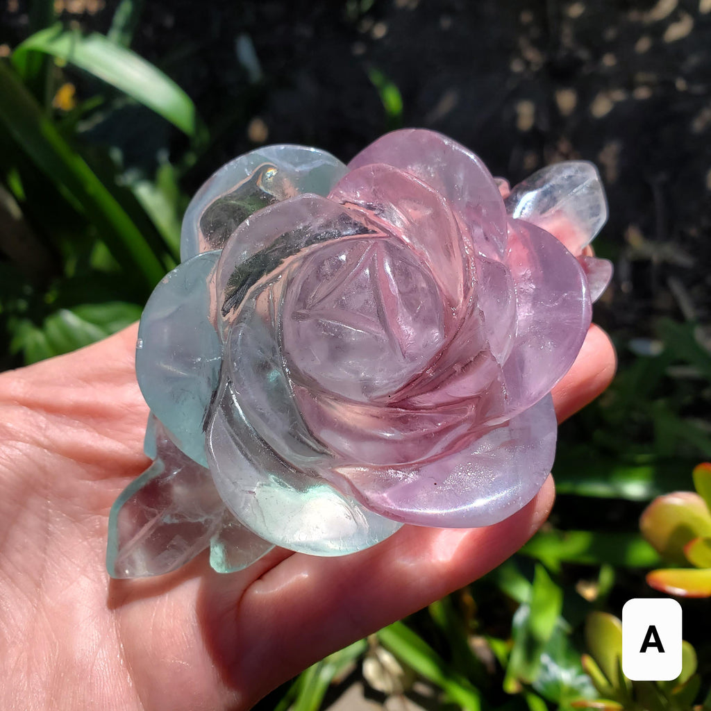 Rainbow Fluorite Rose on Gold Stand - Stability, Concentration, Mental Clarity, Energetic Protection - Flower Crystal Gemstones