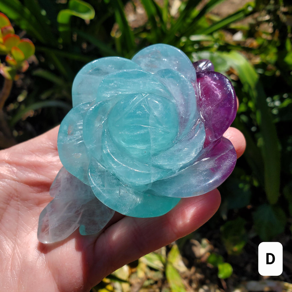 Rainbow Fluorite Rose on Gold Stand - Stability, Concentration, Mental Clarity, Energetic Protection - Flower Crystal Gemstones