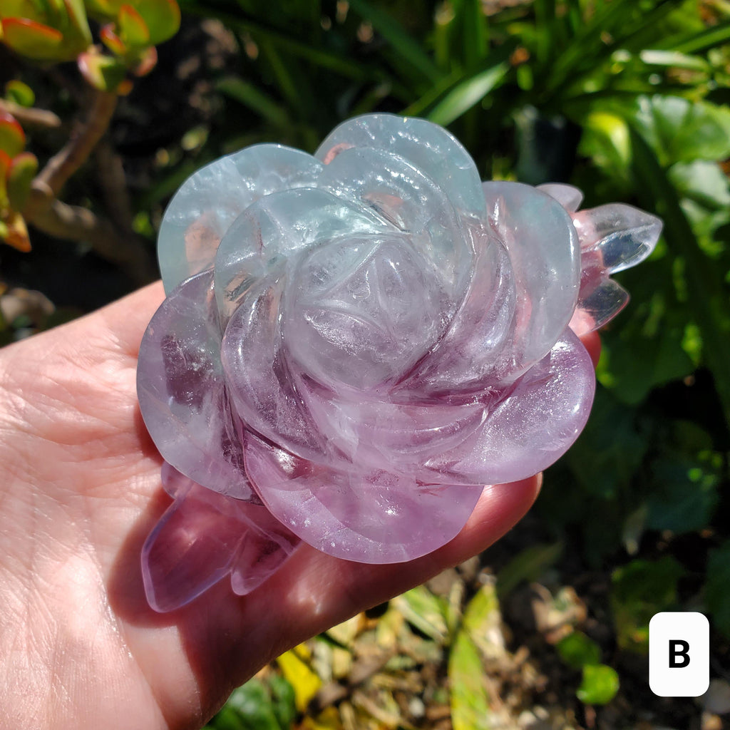 Rainbow Fluorite Rose on Gold Stand - Stability, Concentration, Mental Clarity, Energetic Protection - Flower Crystal Gemstones