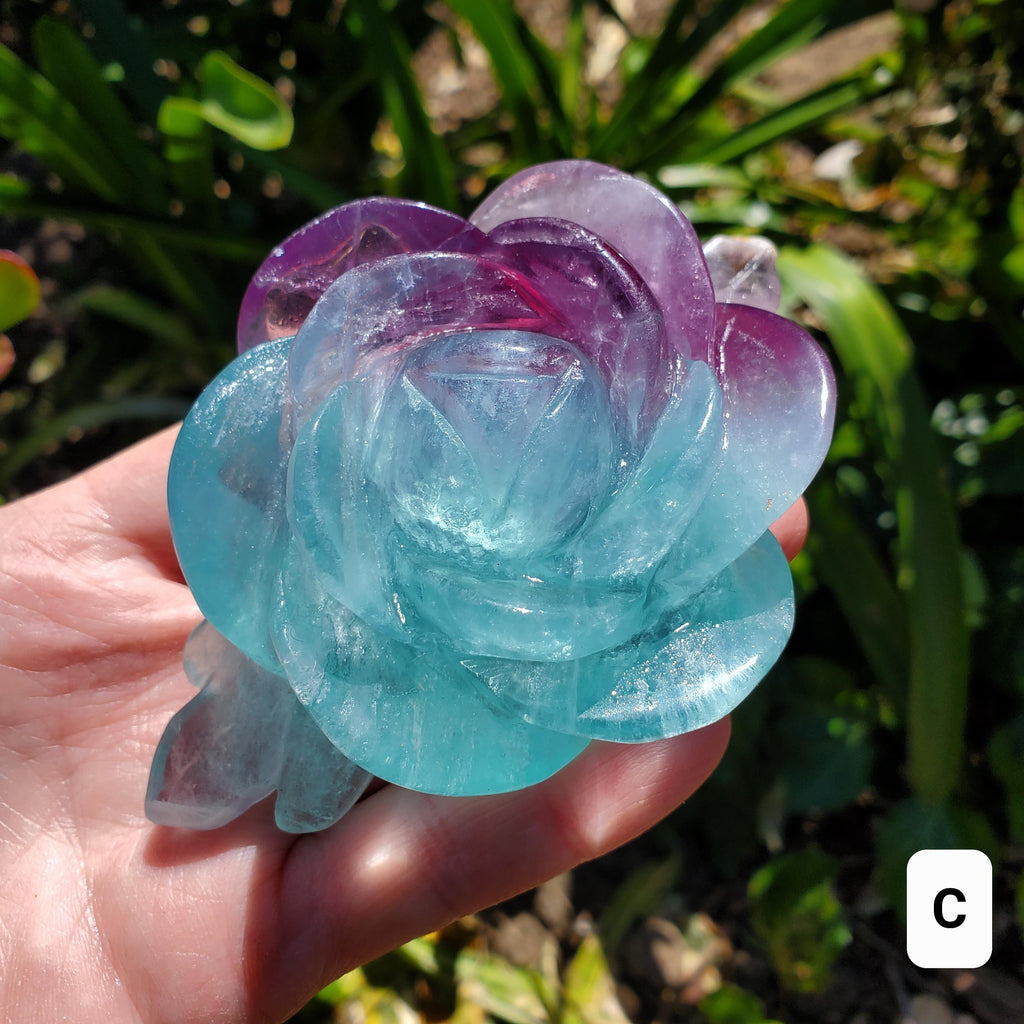 Rainbow Fluorite Rose on Gold Stand - Stability, Concentration, Mental Clarity, Energetic Protection - Flower Crystal Gemstones