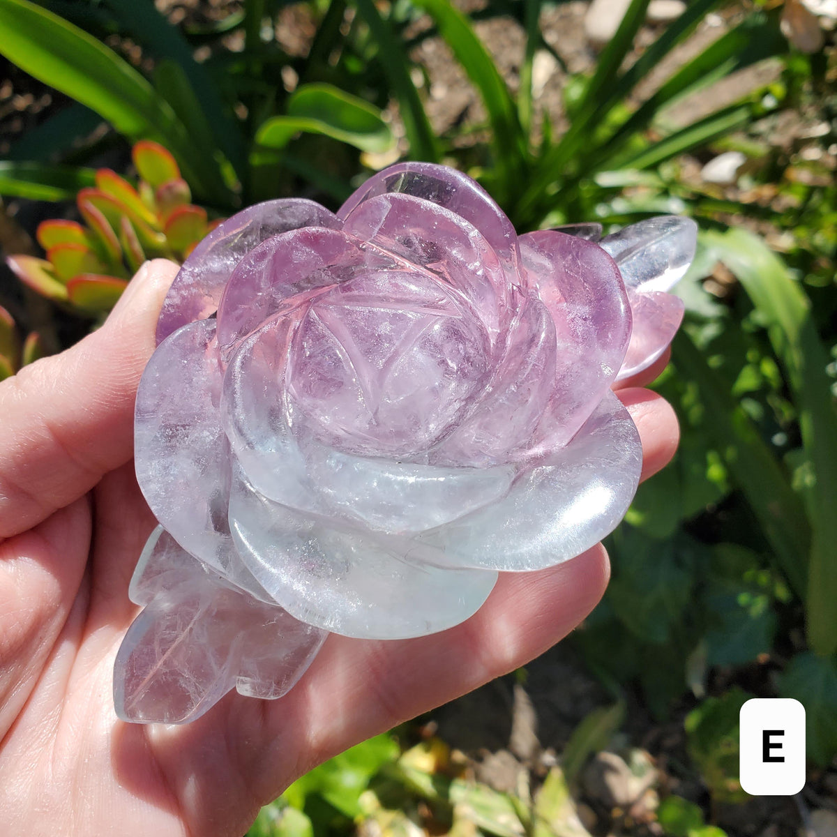 Rainbow Fluorite Rose on Gold Stand - Stability, Concentration, Mental Clarity, Energetic Protection - Flower Crystal Gemstones