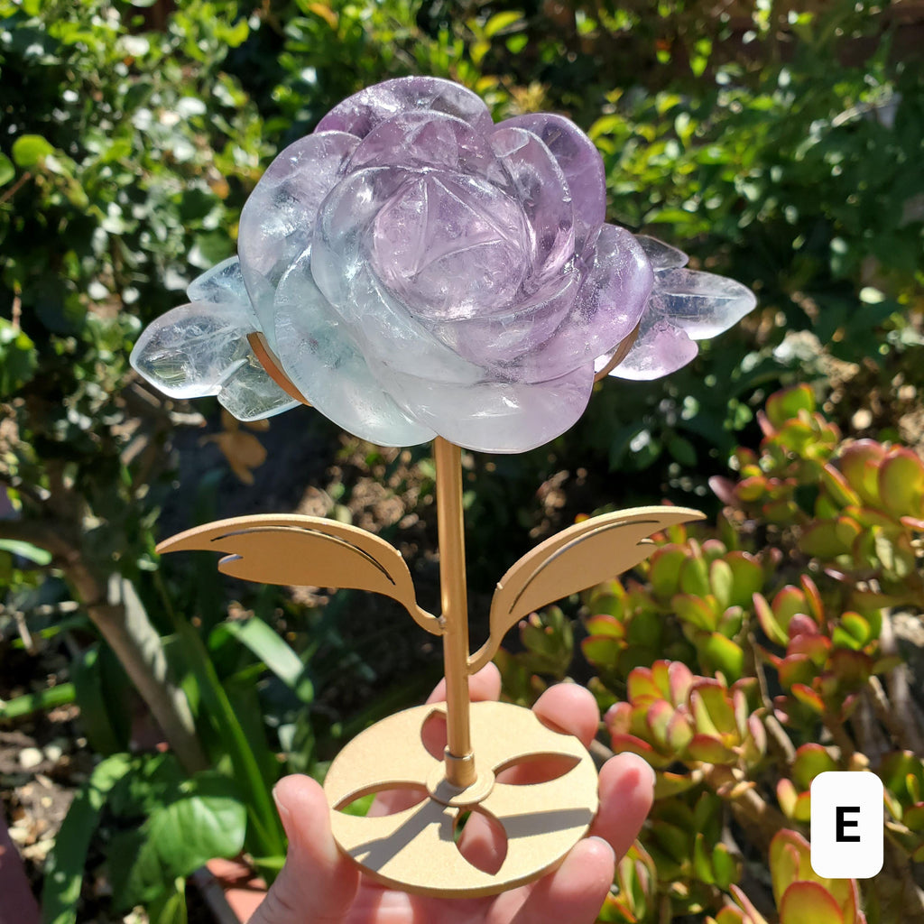 Rainbow Fluorite Rose on Gold Stand - Stability, Concentration, Mental Clarity, Energetic Protection - Flower Crystal Gemstones