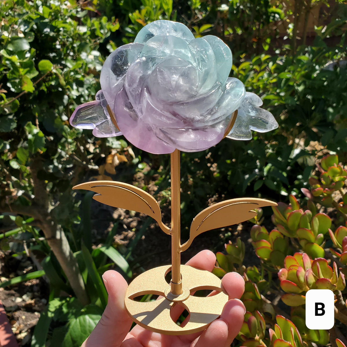 Rainbow Fluorite Rose on Gold Stand - Stability, Concentration, Mental Clarity, Energetic Protection - Flower Crystal Gemstones