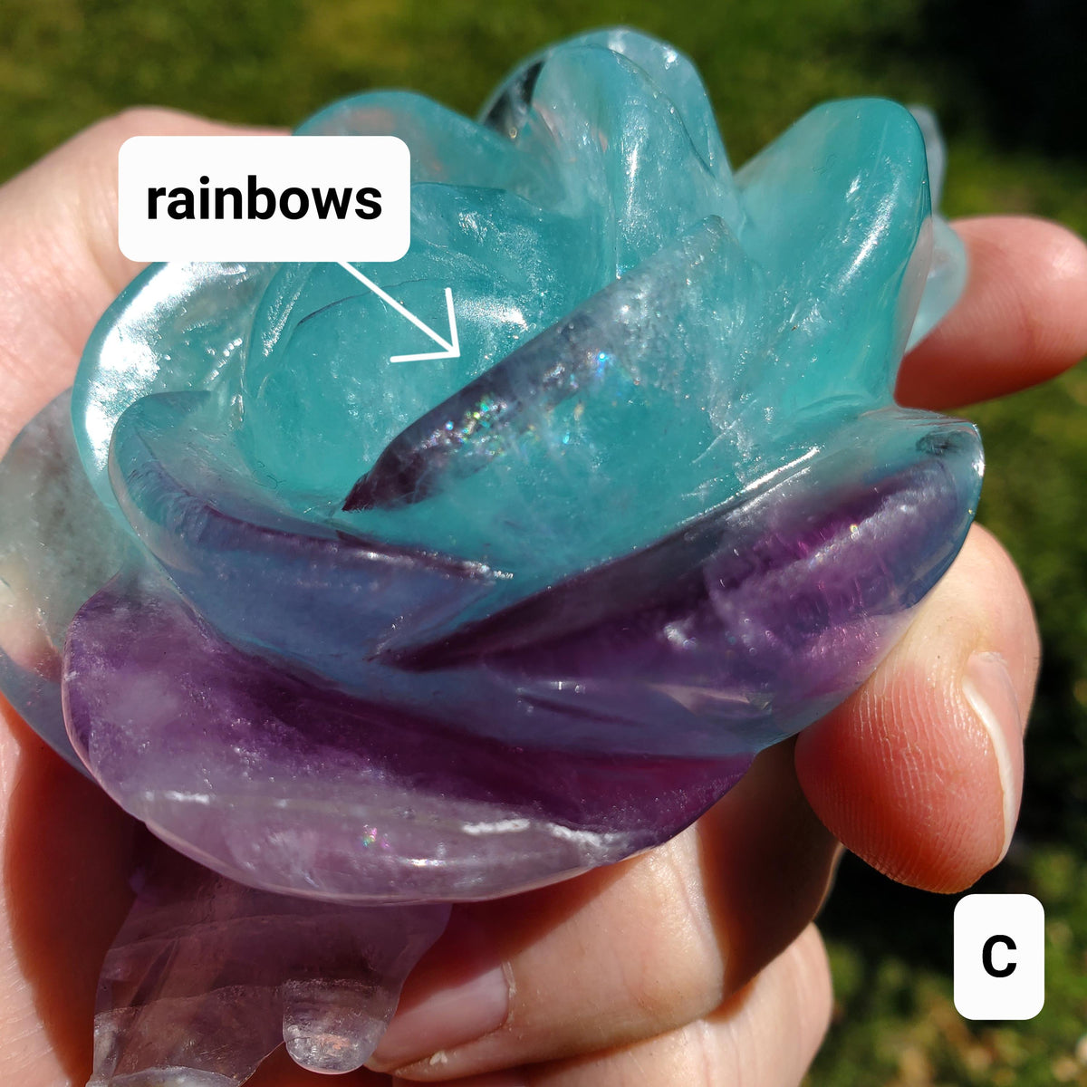 Rainbow Fluorite Rose on Gold Stand - Stability, Concentration, Mental Clarity, Energetic Protection - Flower Crystal Gemstones