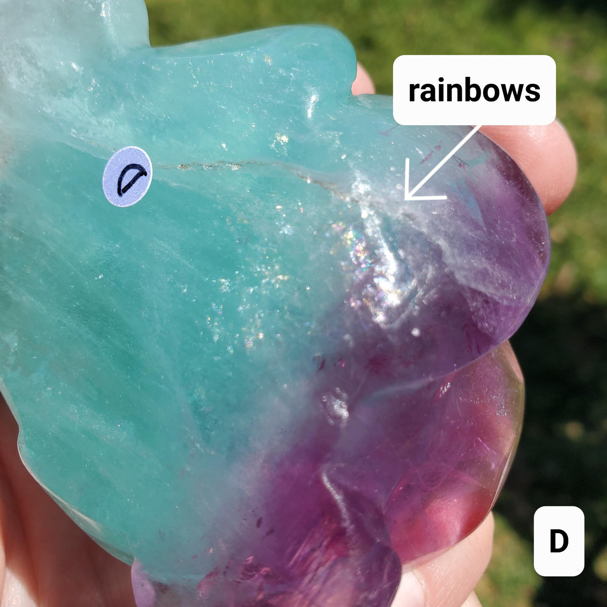 Rainbow Fluorite Rose on Gold Stand - Stability, Concentration, Mental Clarity, Energetic Protection - Flower Crystal Gemstones