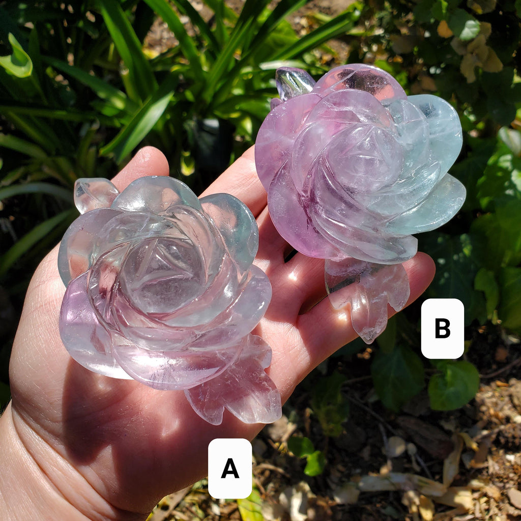 Rainbow Fluorite Rose on Gold Stand - Stability, Concentration, Mental Clarity, Energetic Protection - Flower Crystal Gemstones
