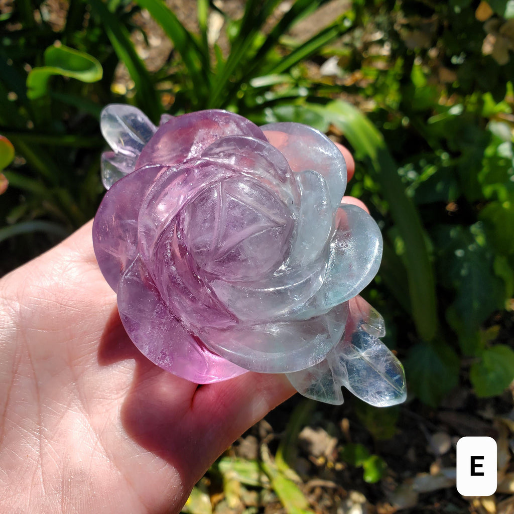 Rainbow Fluorite Rose on Gold Stand - Stability, Concentration, Mental Clarity, Energetic Protection - Flower Crystal Gemstones