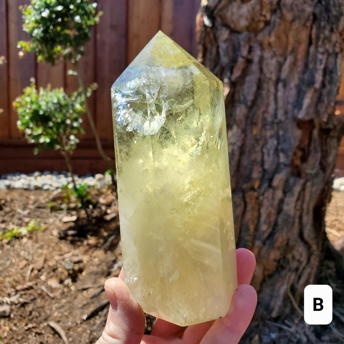 Chunky Citrine Tower Accent Lamp - Abundance, Energizing, Creativity, New Beginnings - Golden Quartz Crystal Point with Lighted Base