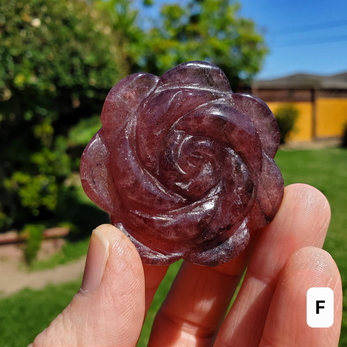 Small Strawberry Quartz Rose with Tourmaline Inclusions - Universal Love, Gratitude, Generosity, Compassion - Tanzberry Flower Carving
