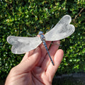 Quartz Dragonfly - Counteracts the Negative, Energizes Positive Energy - Clear Dragonfly Crystal Insect Healing Stone