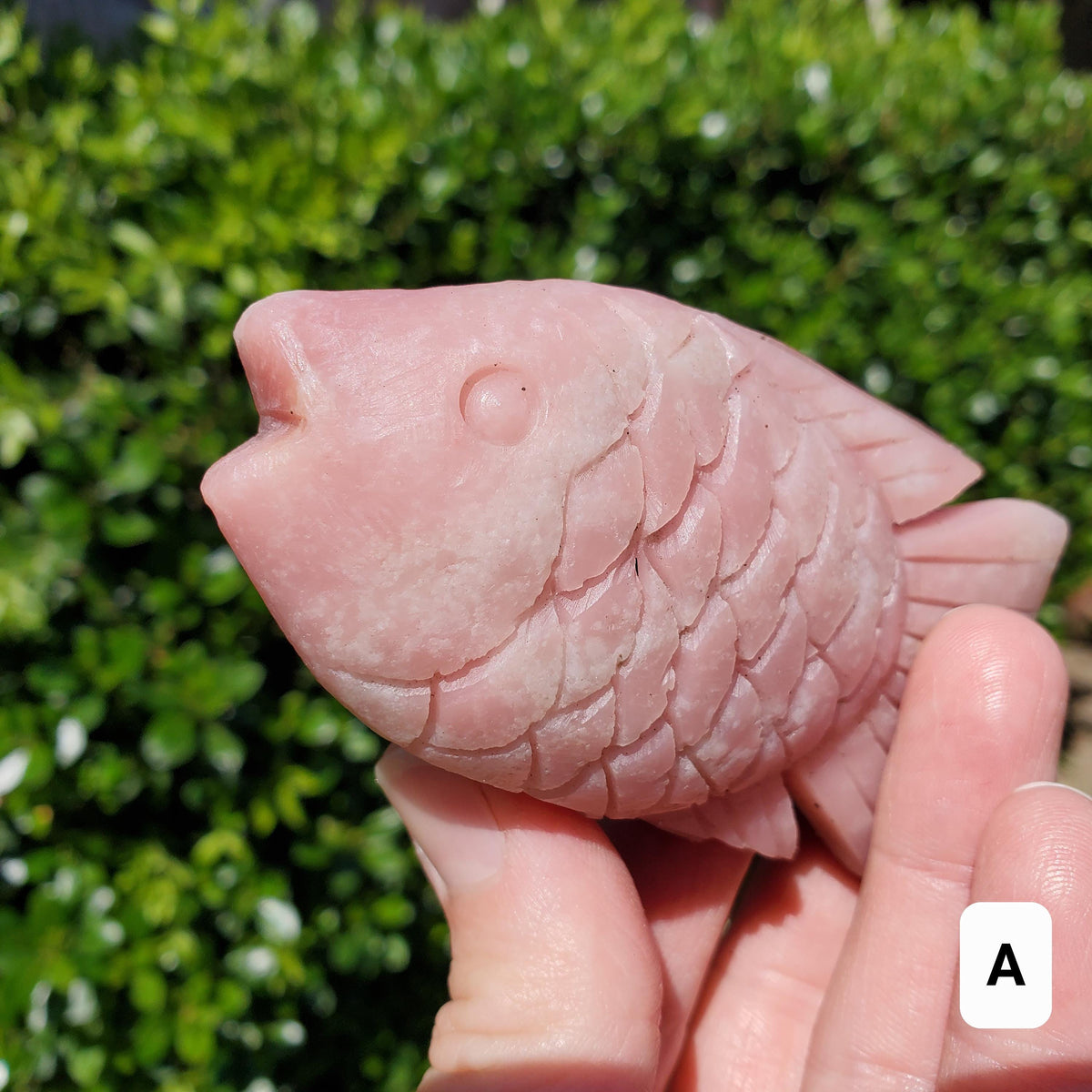 Cute Pink Opal Standing Fish - Activates Heart Chakra, Strengthens Connection To Yourself, Individuality - Pink Crystal Fish Ocean Figurine