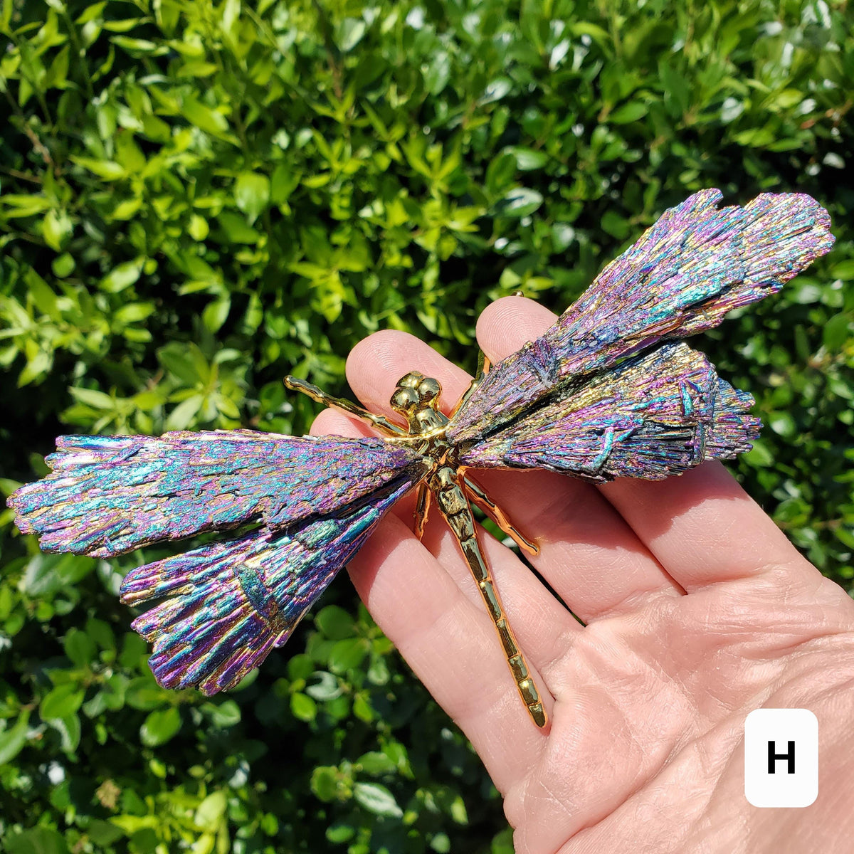 Aura Kyanite Dragonfly on Metal Body - Calming, Clarity, Connection, Communication, Balances Chakras - Kyanite Crystal Dragonfly Statement