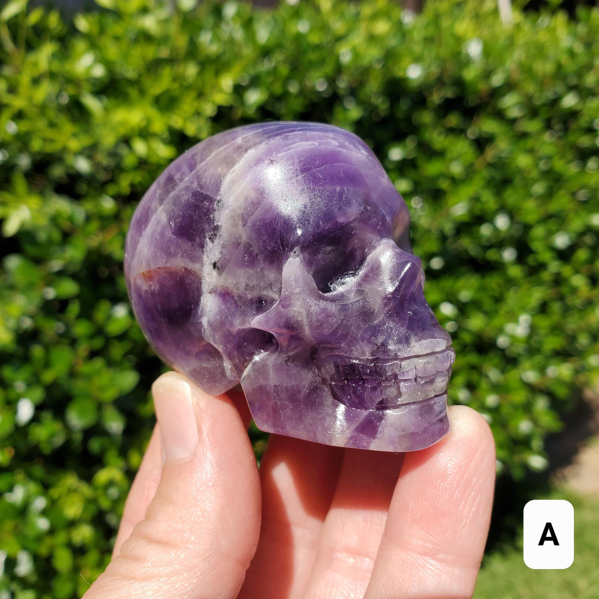 Cute Amethyst Skull 2.50" - Calming, Protection, Positivity - Purple Carved Skull Amethyst Crystal Healing Gemstones