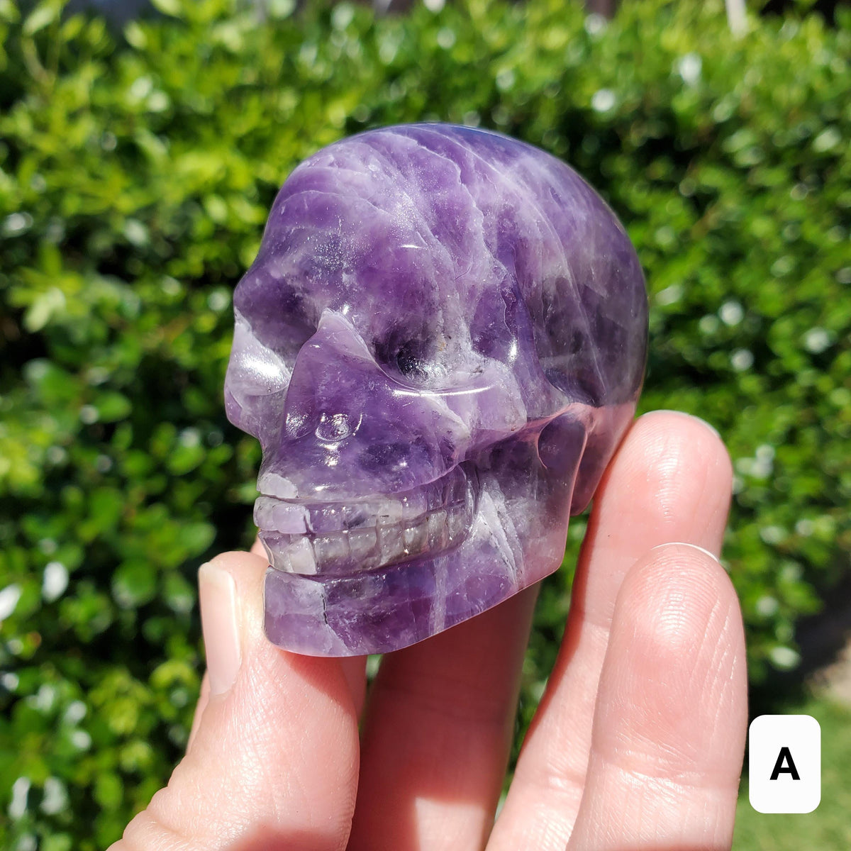 Cute Amethyst Skull 2.50" - Calming, Protection, Positivity - Purple Carved Skull Amethyst Crystal Healing Gemstones