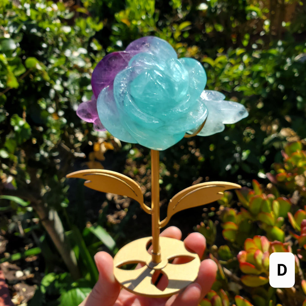 Rainbow Fluorite Rose on Gold Stand - Stability, Concentration, Mental Clarity, Energetic Protection - Flower Crystal Gemstones