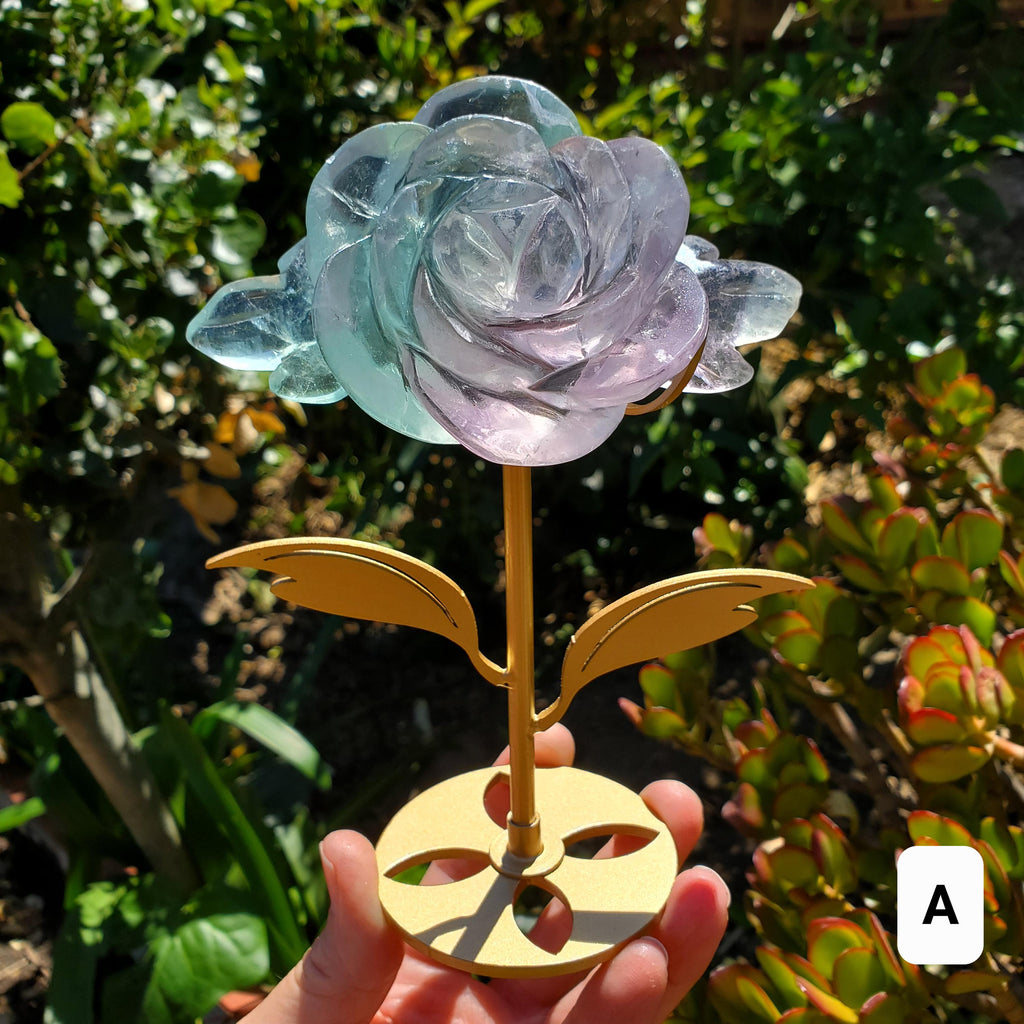 Rainbow Fluorite Rose on Gold Stand - Stability, Concentration, Mental Clarity, Energetic Protection - Flower Crystal Gemstones