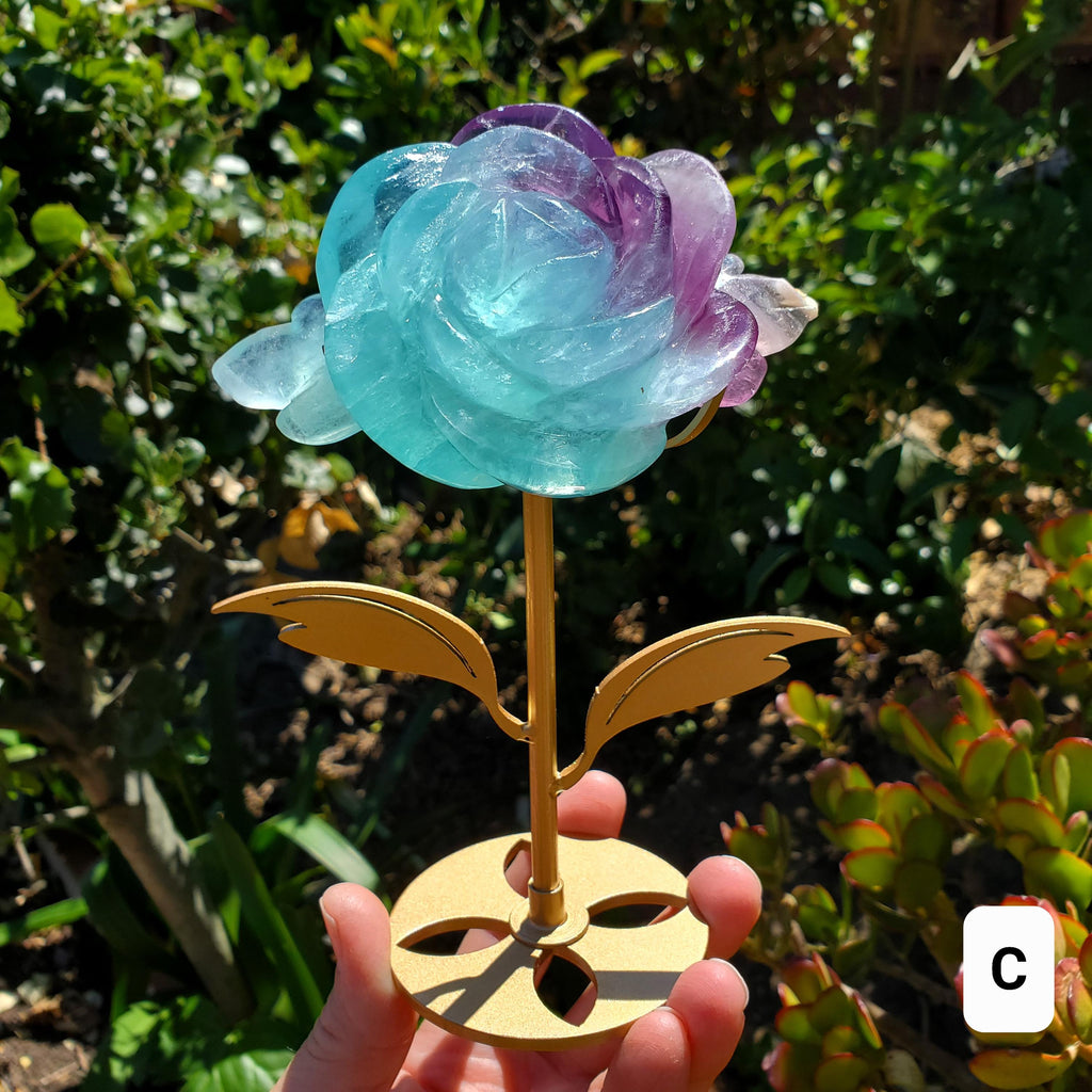 Rainbow Fluorite Rose on Gold Stand - Stability, Concentration, Mental Clarity, Energetic Protection - Flower Crystal Gemstones