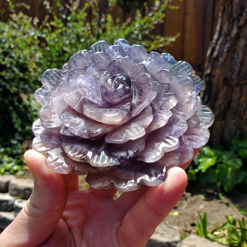 Big Purple Fluorite Flower with Banding - The Dream Crystal, Mental Concentration, Clears Negativity - Crystal Rose Statement Gemstone