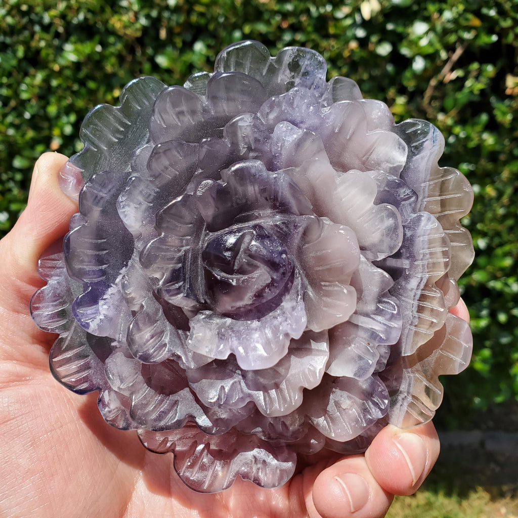 Big Purple Fluorite Flower with Banding - The Dream Crystal, Mental Concentration, Clears Negativity - Crystal Rose Statement Gemstone