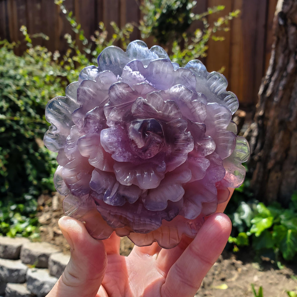 Big Purple Fluorite Flower with Banding - The Dream Crystal, Mental Concentration, Clears Negativity - Crystal Rose Statement Gemstone
