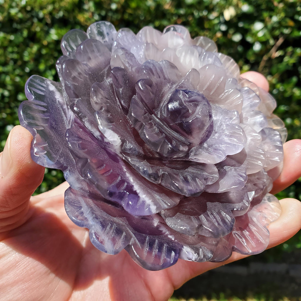 Big Purple Fluorite Flower with Banding - The Dream Crystal, Mental Concentration, Clears Negativity - Crystal Rose Statement Gemstone