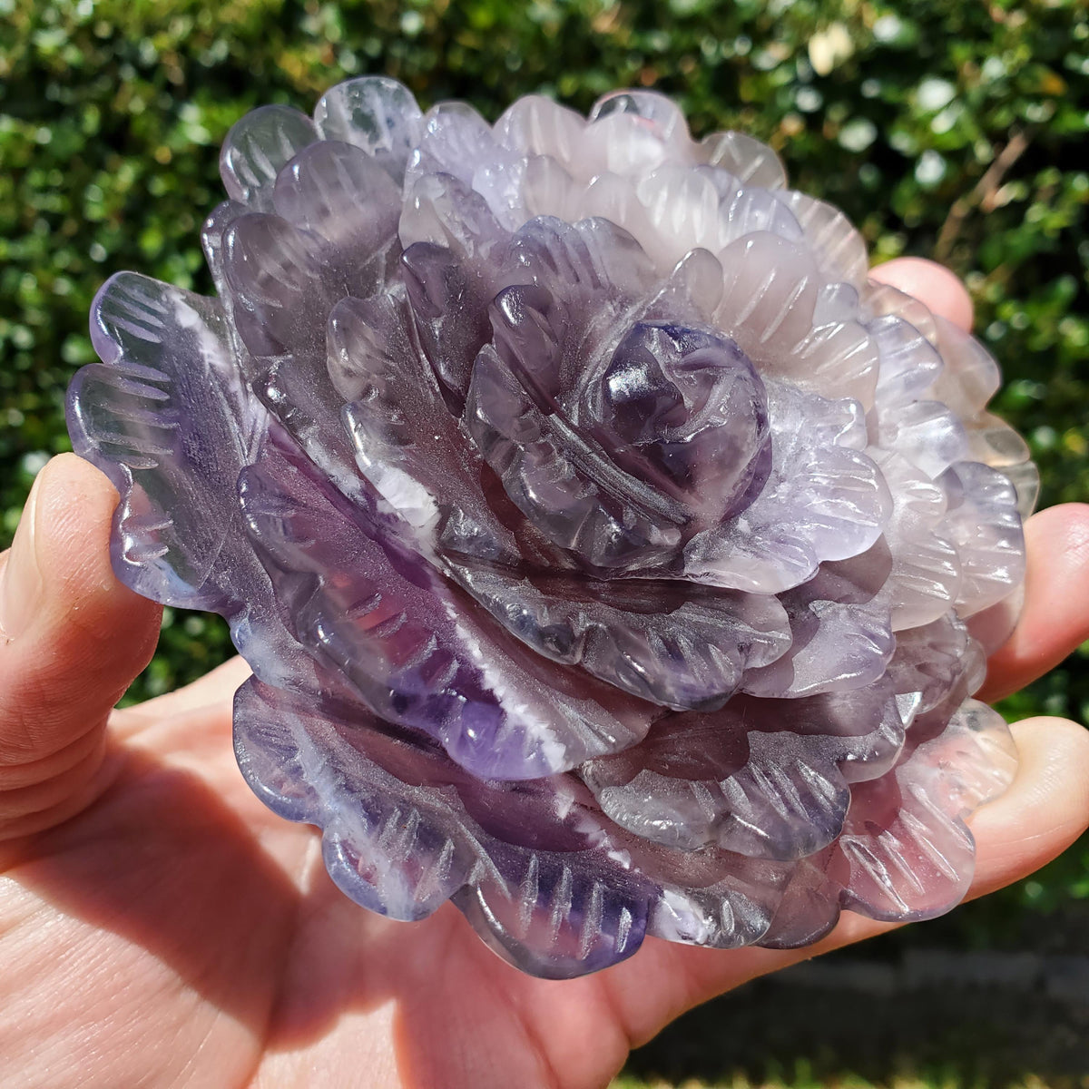 Big Purple Fluorite Flower with Banding - The Dream Crystal, Mental Concentration, Clears Negativity - Crystal Rose Statement Gemstone