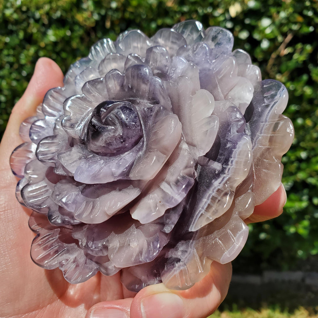 Big Purple Fluorite Flower with Banding - The Dream Crystal, Mental Concentration, Clears Negativity - Crystal Rose Statement Gemstone