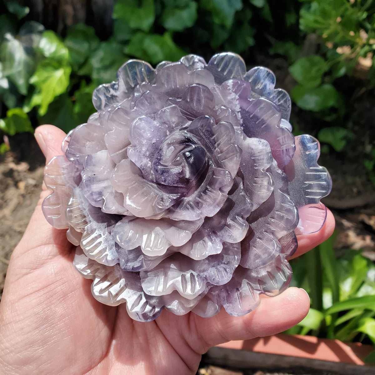 Big Purple Fluorite Flower with Banding - The Dream Crystal, Mental Concentration, Clears Negativity - Crystal Rose Statement Gemstone