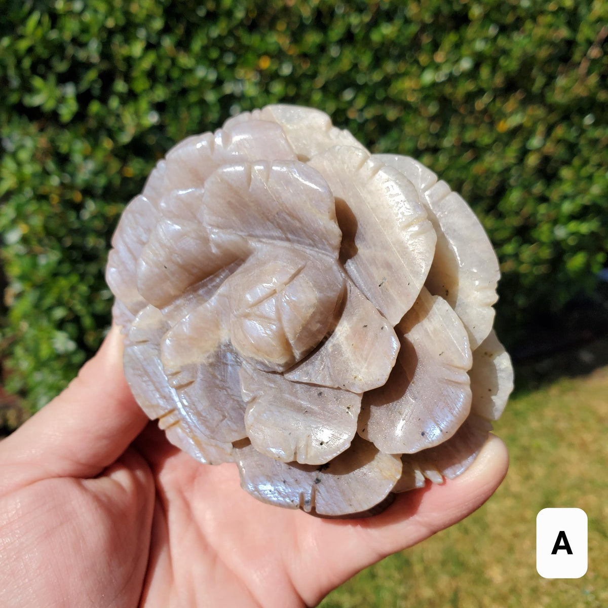 Chunky & Flashy Moonstone Flower - Uplifting, Feminine Energy, Empowering - Crystal Healing Rose Carving Statement Gemstone