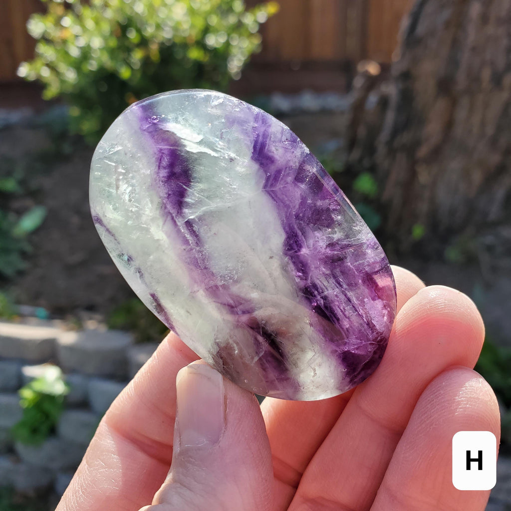 Rainbow Fluorite Palm Stone - Stability, Concentration, Protection - Banded Fluorite Healing Balancing Crystals Gemstones