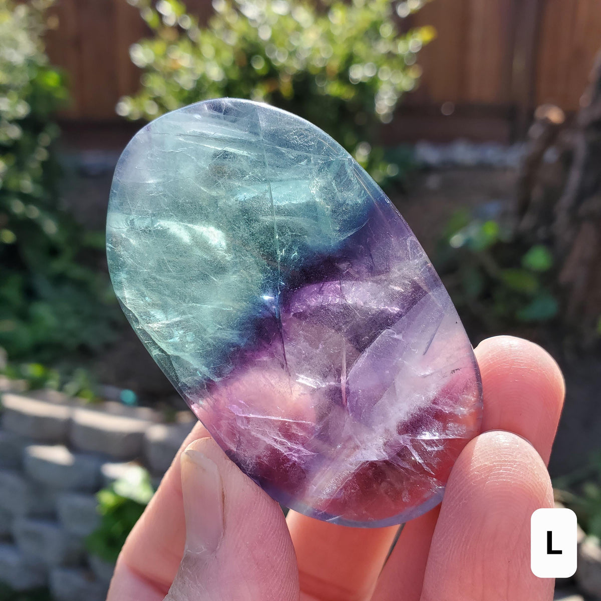 Rainbow Fluorite Palm Stone - Stability, Concentration, Protection - Banded Fluorite Healing Balancing Crystals Gemstones