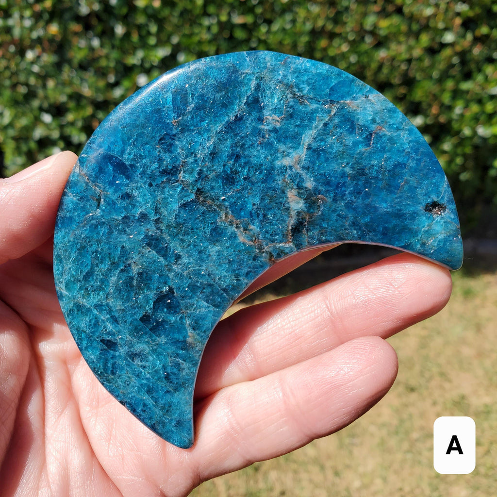 Blue Apatite Moon on Stand - Intuition, Mental Clarity, Manifestation - Blue Vein Crystal Crescent Stone Crystal Statement