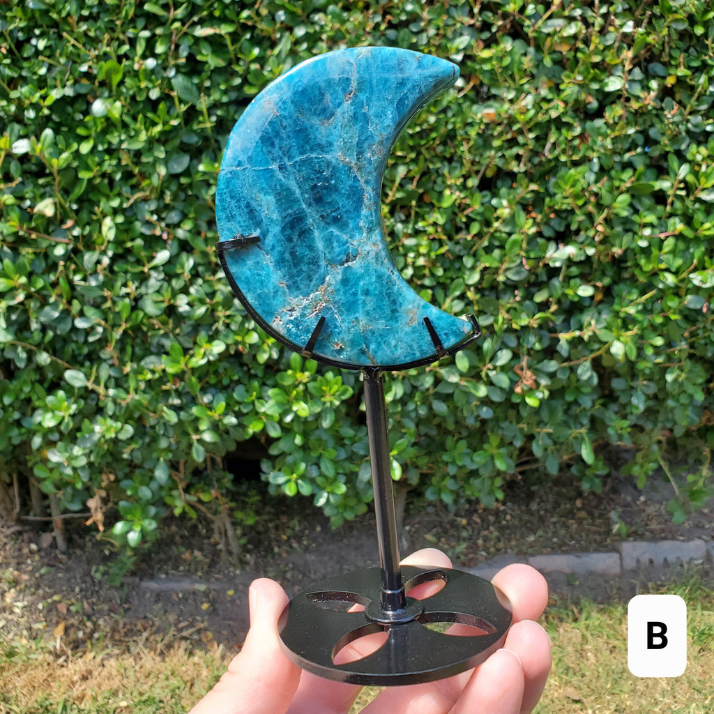 Blue Apatite Moon on Stand - Intuition, Mental Clarity, Manifestation - Blue Vein Crystal Crescent Stone Crystal Statement
