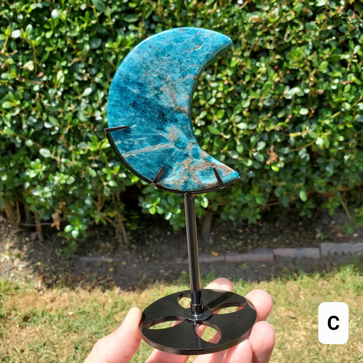 Blue Apatite Moon on Stand - Intuition, Mental Clarity, Manifestation - Blue Vein Crystal Crescent Stone Crystal Statement