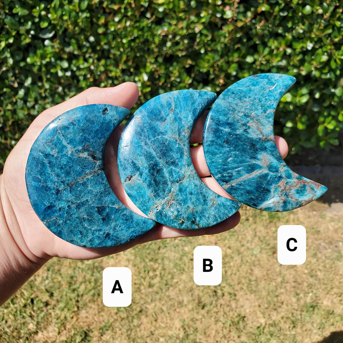 Blue Apatite Moon on Stand - Intuition, Mental Clarity, Manifestation - Blue Vein Crystal Crescent Stone Crystal Statement